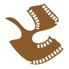 Satyajit Ray Film And Television Institute (Srfti)